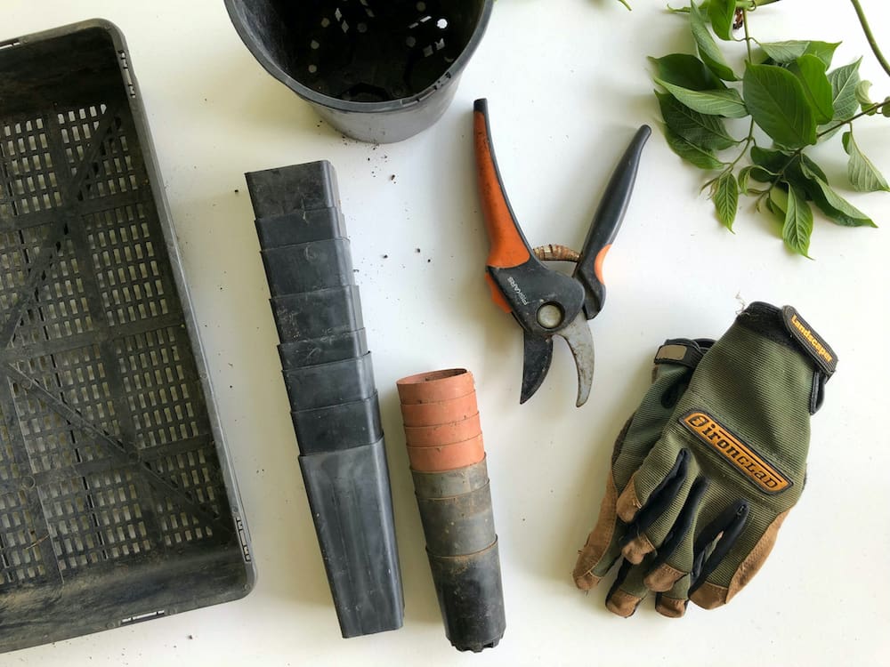 get your lawn and garden ready for spring with your best tools